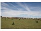 Dangarsleigh NSW 2350