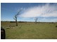 Dangarsleigh NSW 2350
