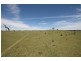 Dangarsleigh NSW 2350