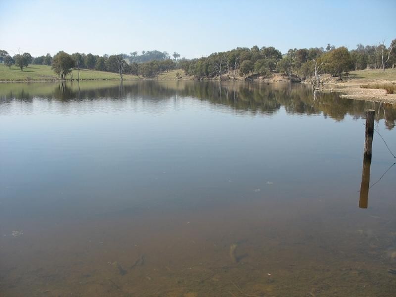 1735 Old Armidale road, Guyra NSW 2365