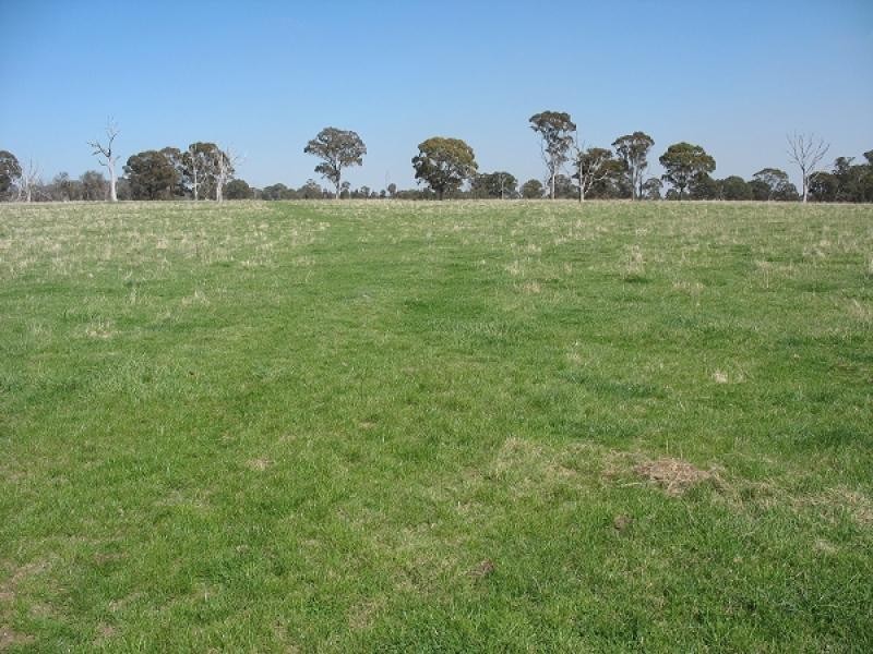 1735 Old Armidale road, Guyra NSW 2365