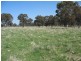 1735 Old Armidale road, Guyra NSW 2365