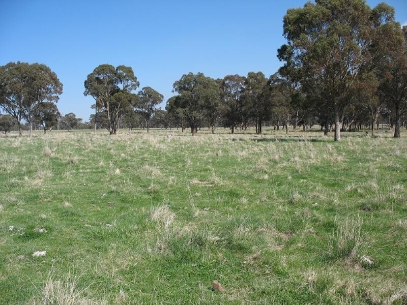 1735 Old Armidale road, Guyra NSW 2365