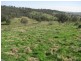 Walcha NSW 2354