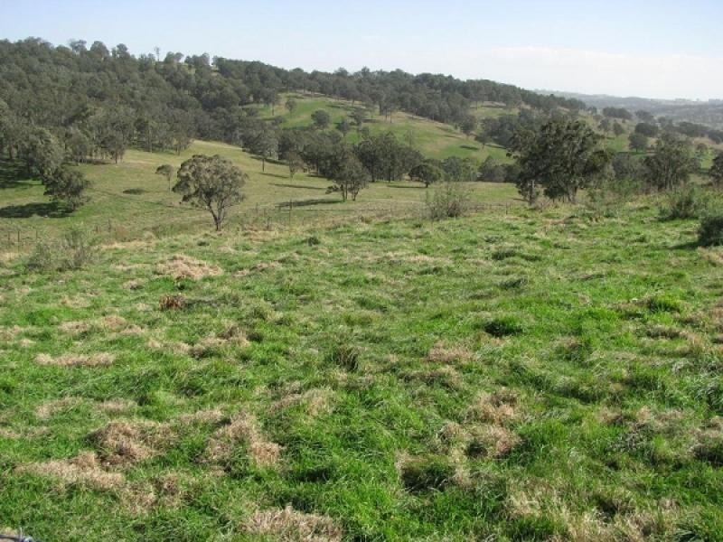 Walcha NSW 2354