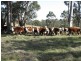 Walcha NSW 2354