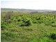 Walcha NSW 2354