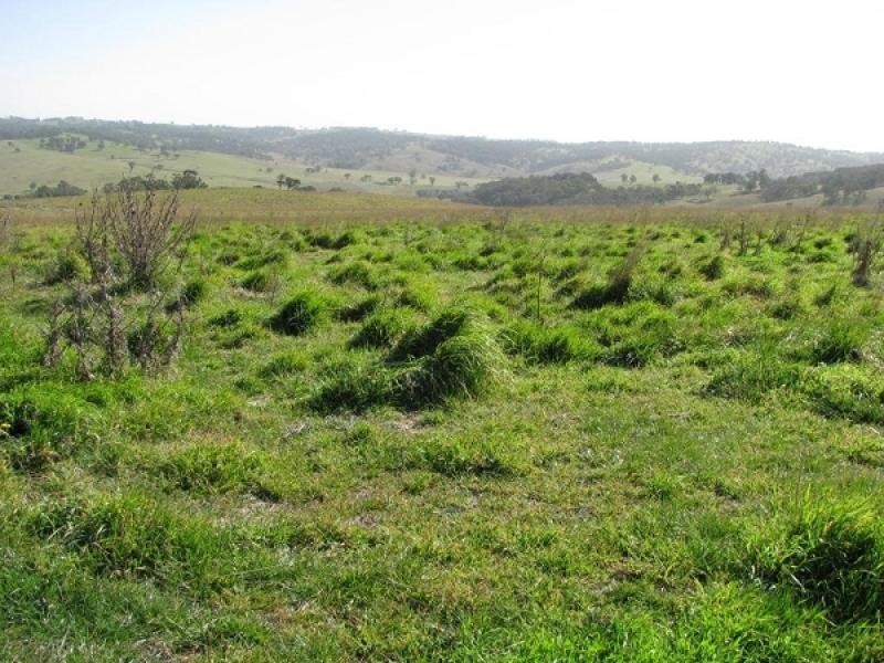 Walcha NSW 2354