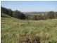 Walcha NSW 2354