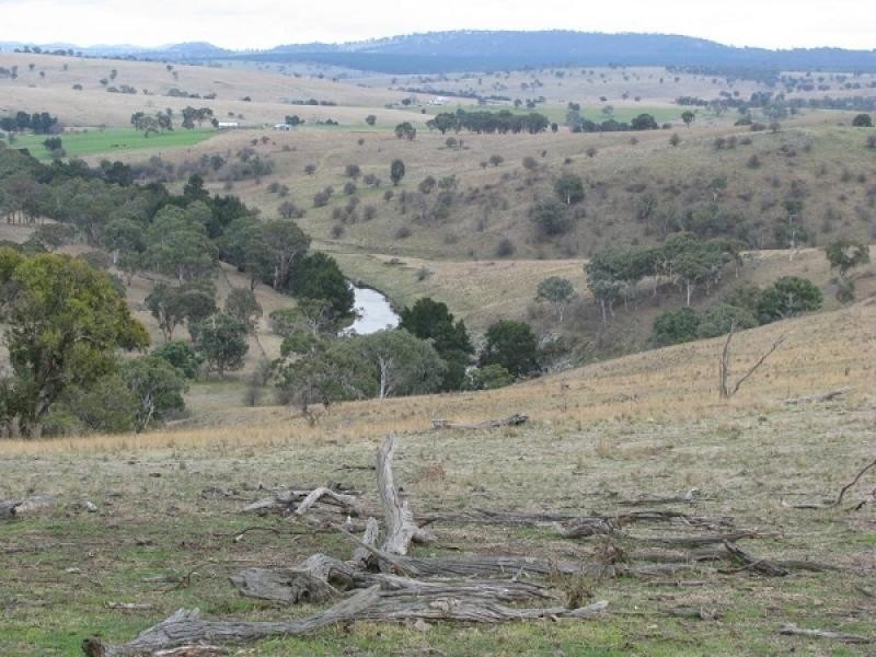 Walcha NSW 2354