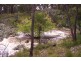 Puddledock NSW 2350