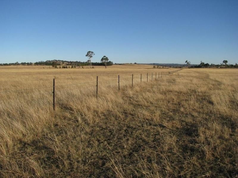 Dangarsleigh NSW 2350