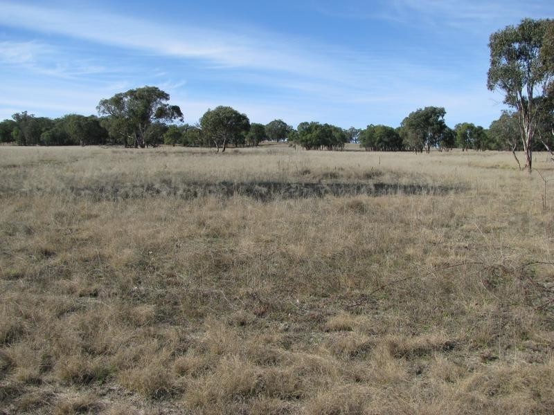 Lot 13/137 Rowena Road, Kingstown NSW 2358