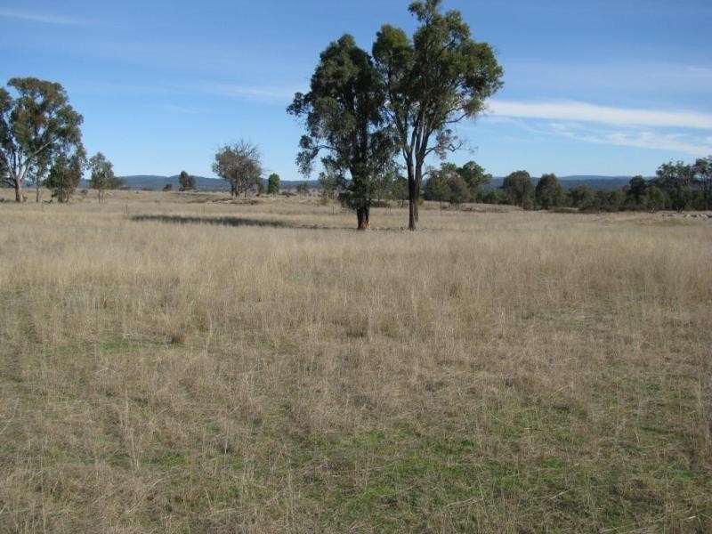 Lot 13/137 Rowena Road, Kingstown NSW 2358