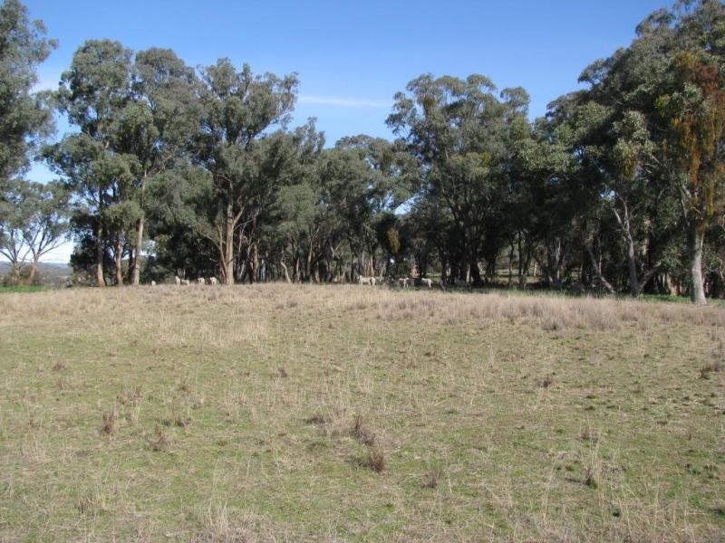 Lot 13/137 Rowena Road, Kingstown NSW 2358