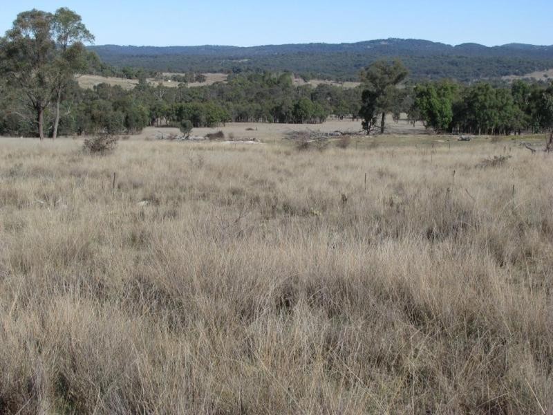 Lot 13/137 Rowena Road, Kingstown NSW 2358