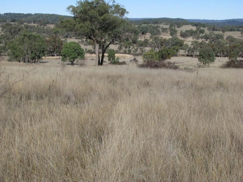 Lot 13/137 Rowena Road, Kingstown NSW 2358