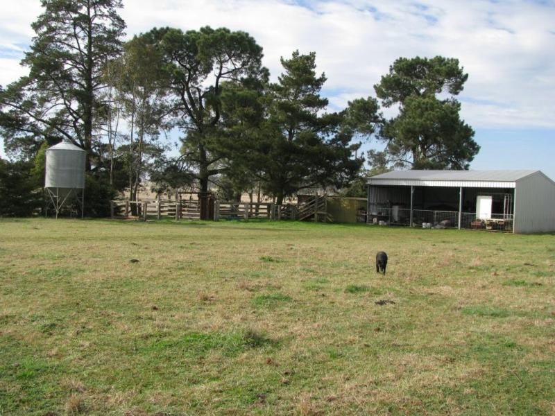393 Bundarra Road, Armidale NSW 2350