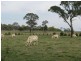 393 Bundarra Road, Armidale NSW 2350