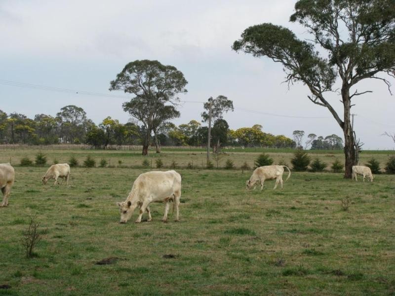 393 Bundarra Road, Armidale NSW 2350