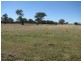393 Bundarra Road, Armidale NSW 2350