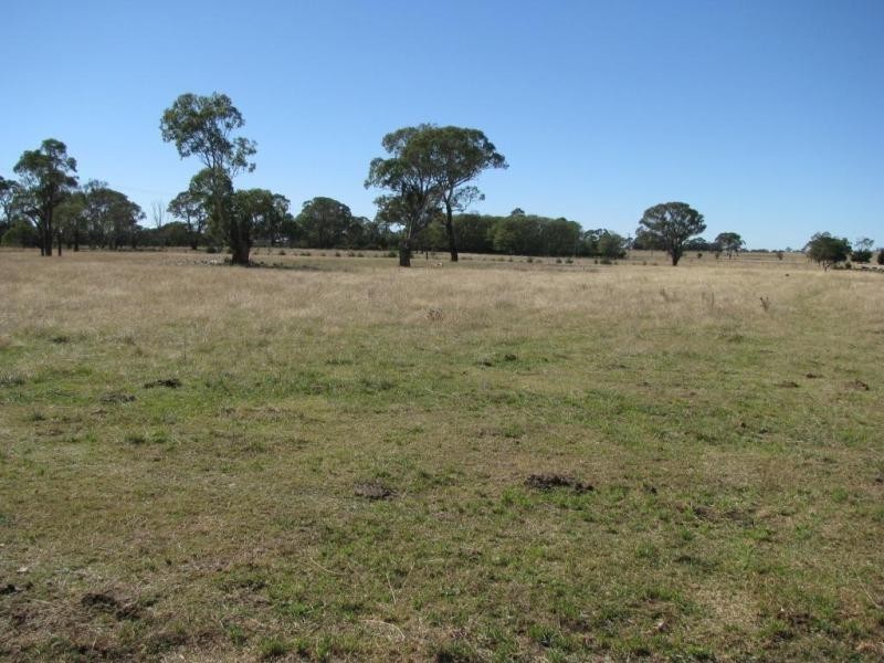 393 Bundarra Road, Armidale NSW 2350