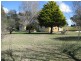 387 Thunderbolts Way, Walcha NSW 2354