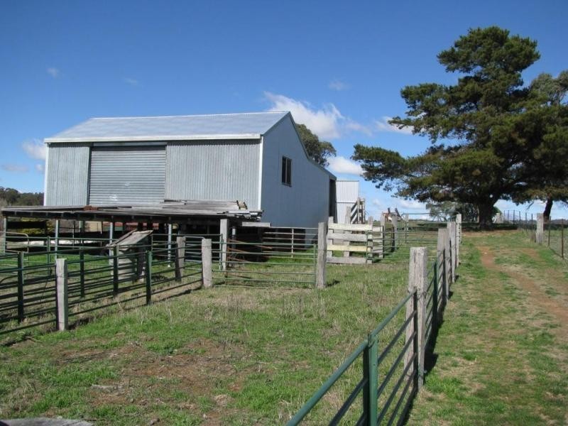 387 Thunderbolts Way, Walcha NSW 2354