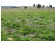 387 Thunderbolts Way, Walcha NSW 2354