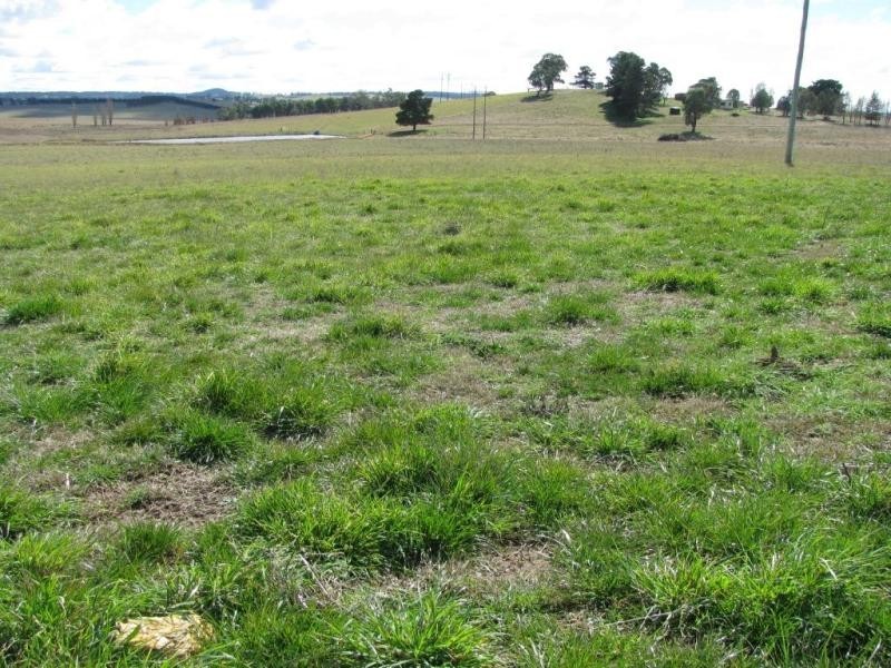 387 Thunderbolts Way, Walcha NSW 2354