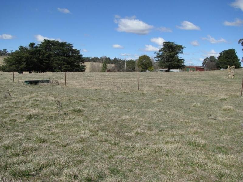 387 Thunderbolts Way, Walcha NSW 2354