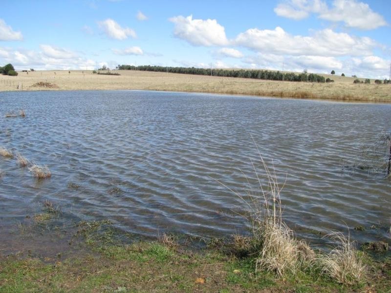 387 Thunderbolts Way, Walcha NSW 2354