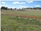 387 Thunderbolts Way, Walcha NSW 2354