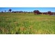 Kingstown NSW 2358