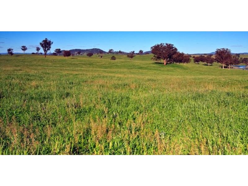 Kingstown NSW 2358