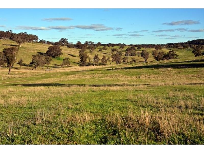 Kingstown NSW 2358