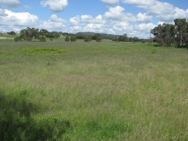 2826 Kingstown  road, Kingstown NSW 2358