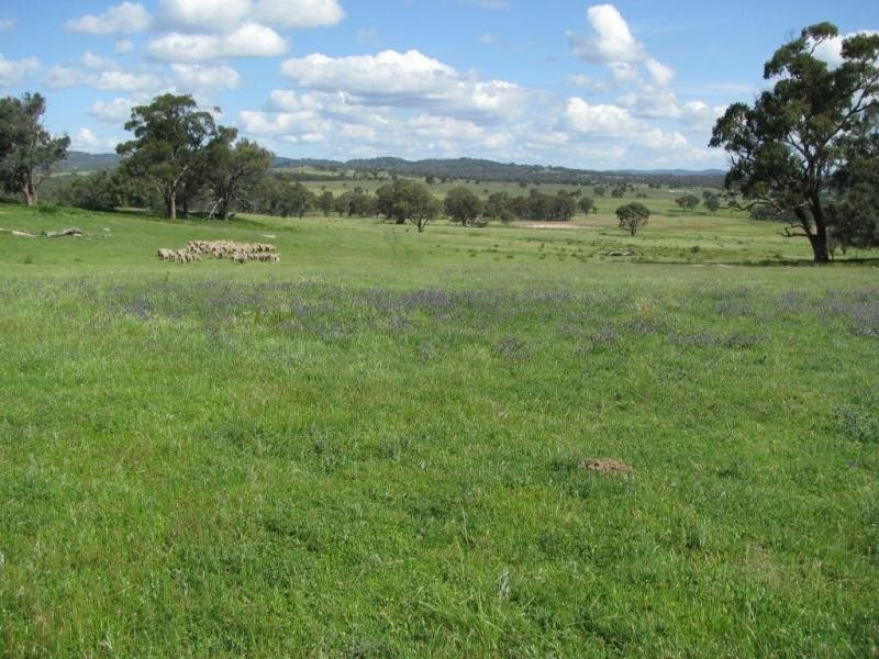 2826 Kingstown  road, Kingstown NSW 2358