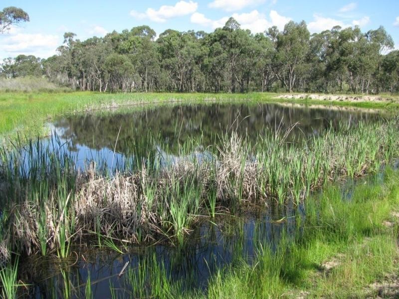 2826 Kingstown  road, Kingstown NSW 2358