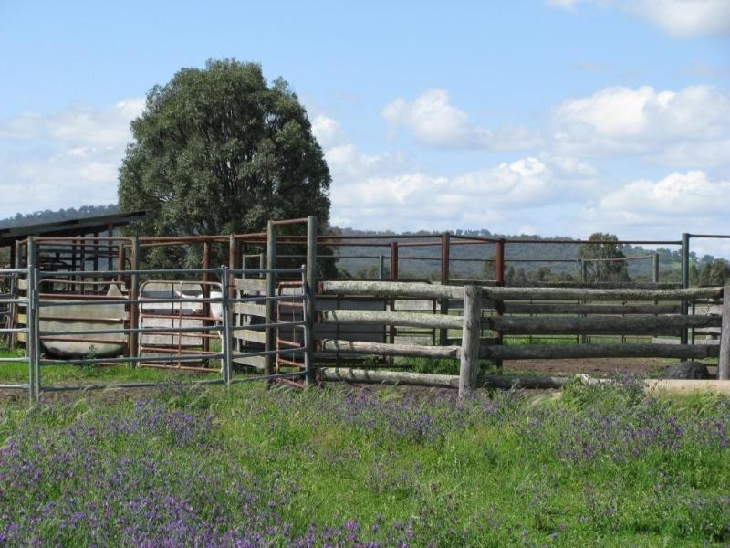 2826 Kingstown  road, Kingstown NSW 2358