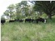 502 Green Hills Road, Armidale NSW 2350