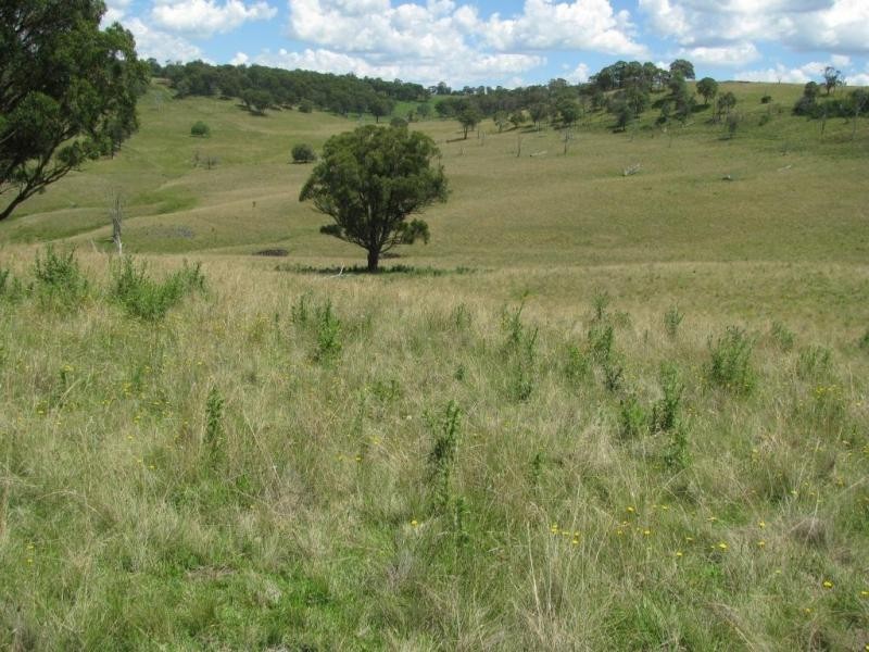 502 Green Hills Road, Armidale NSW 2350
