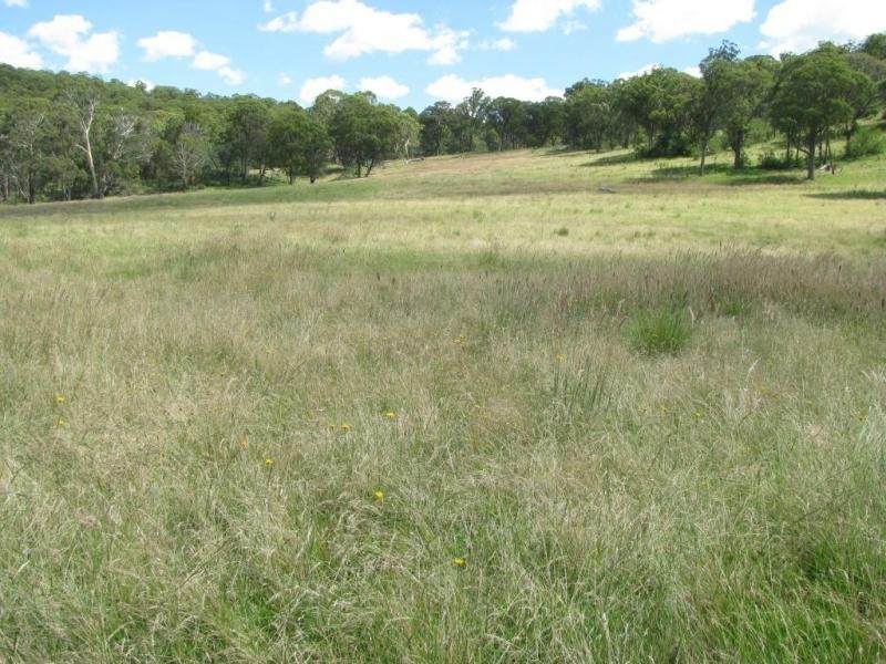 502 Green Hills Road, Armidale NSW 2350