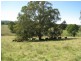 502 Green Hills Road, Armidale NSW 2350