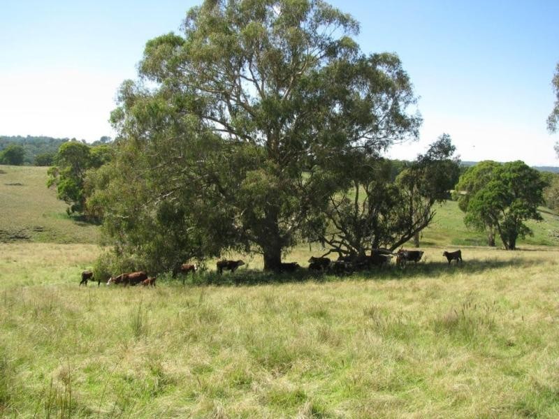 502 Green Hills Road, Armidale NSW 2350
