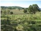 502 Green Hills Road, Armidale NSW 2350