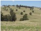 Walcha NSW 2354