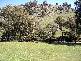 FROGMORE LANE, Boorowa NSW 2586