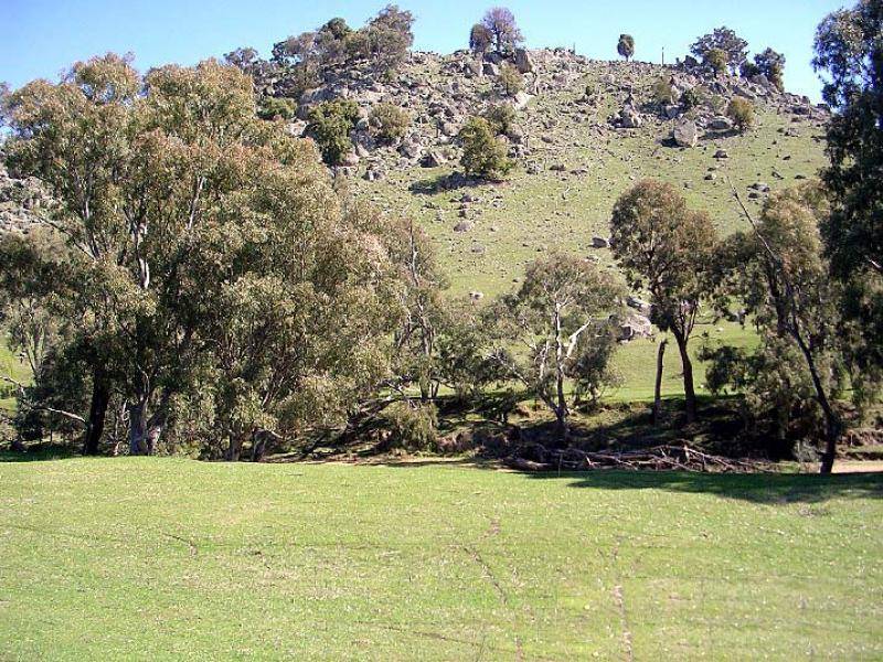 FROGMORE LANE, Boorowa NSW 2586