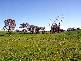 3944 MURRINGO ROAD, Young NSW 2594